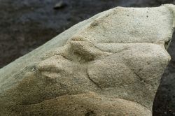 Seru_Largu_20120202_070
